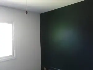 painting contractor Jackson before and after photo 1709578926836_after_wallp